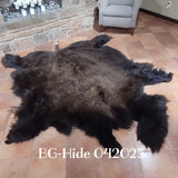 Bison (Buffalo) Hide / Robes