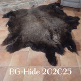 Bison (Buffalo) Hide / Robes