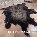 Bison (Buffalo) Hide / Robes