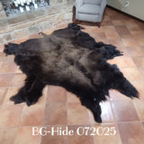 Bison (Buffalo) Hide / Robes