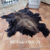 Bison (Buffalo) Hide / Robes