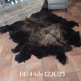 Bison (Buffalo) Hide / Robes