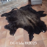 Bison (Buffalo) Hide / Robes