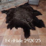 Bison (Buffalo) Hide / Robes