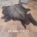 Bison (Buffalo) Hide / Robes